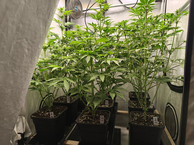 Growreport Bild 5