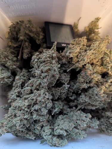 PXL_20250903_163959465