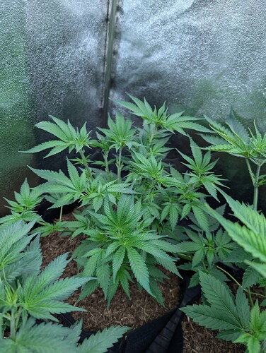 Growreport Bild 22