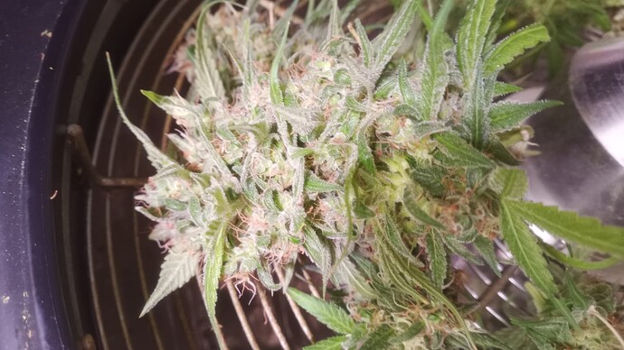 Growreport Bild 18