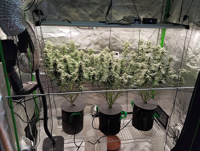 Growreport Bild 18