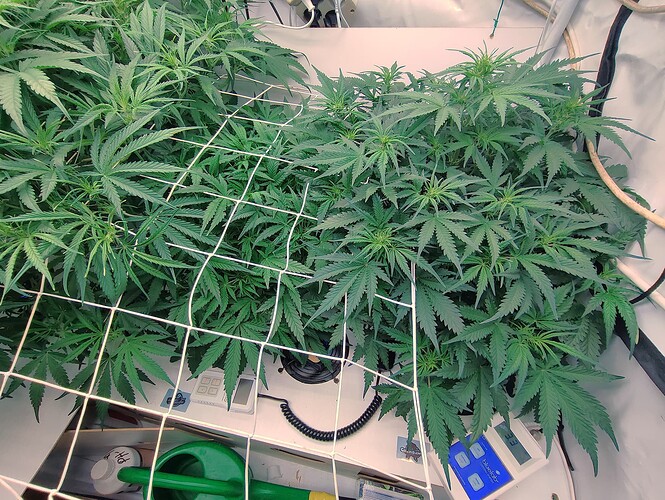 Growreport Bild 8