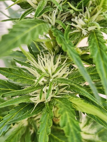 Growreport Bild 10