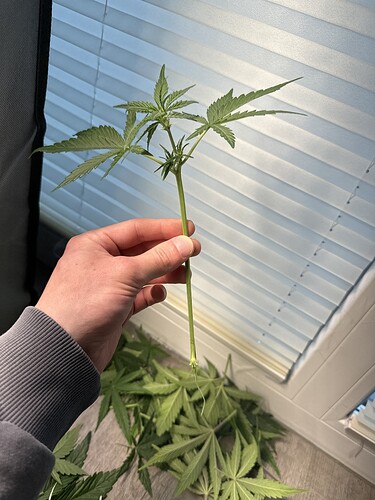 Growreport Bild 9