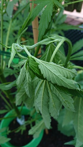 Growreport Bild 12