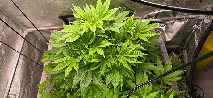 Growreport Bild 8