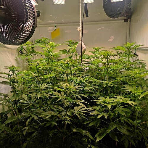 Growreport Bild 11