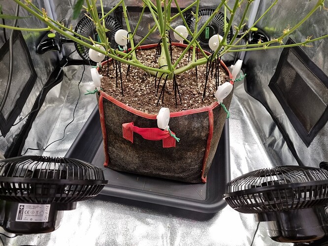 Growreport Bild 23