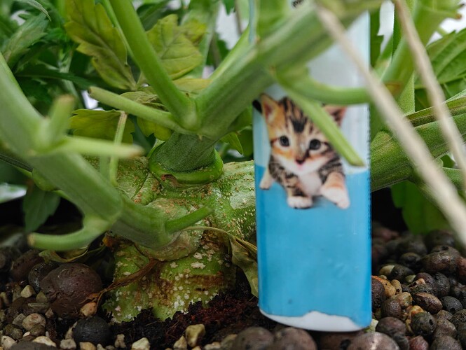 Growreport Bild 26