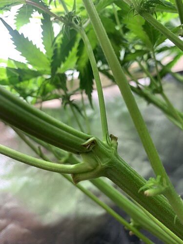 Growreport Bild 11
