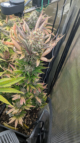 Growreport Bild 22