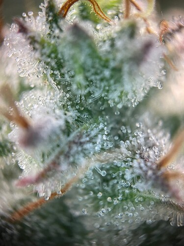 Growreport Bild 13