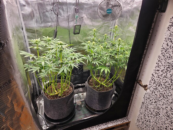 Growreport Bild 4