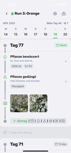Growreport Bild 1