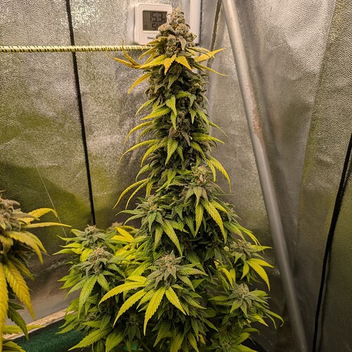 Growreport Bild 13