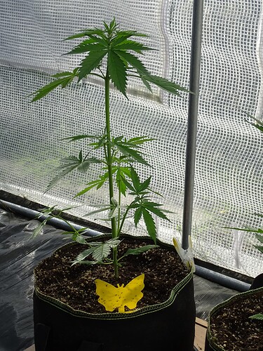 Growreport Bild 6