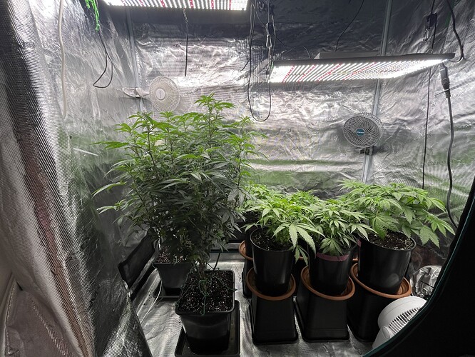 Growreport Bild 48
