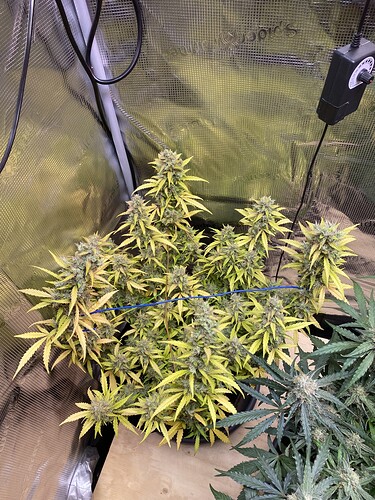 Growreport Bild 18