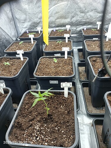 Growreport Bild 4