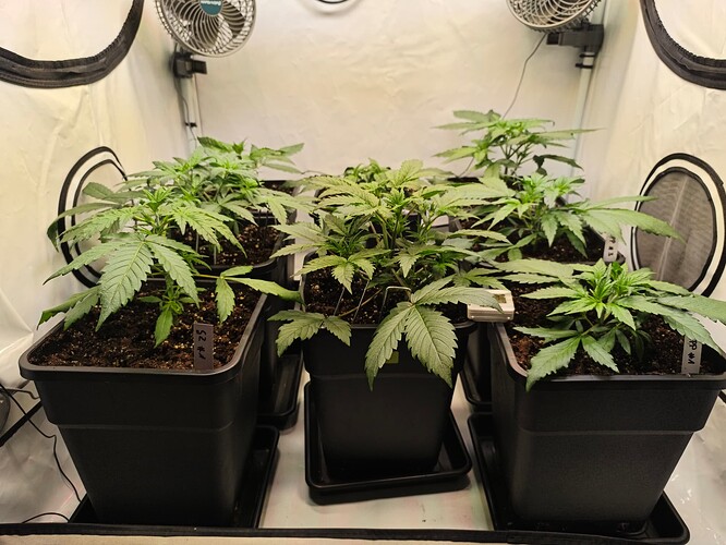 Growreport Bild 3