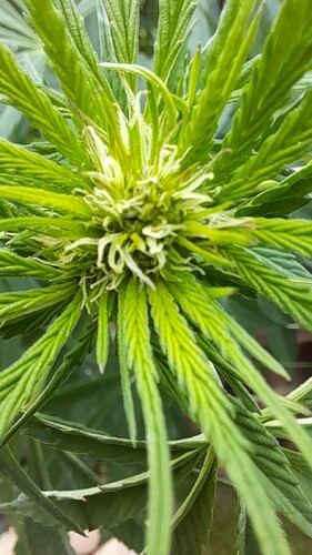 Growreport Bild 11