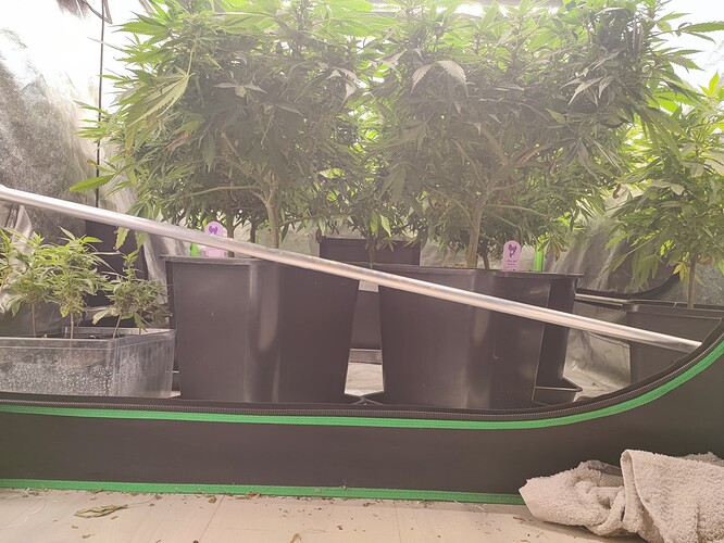 Growreport Bild 3