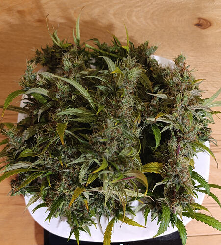 Growreport Bild 11