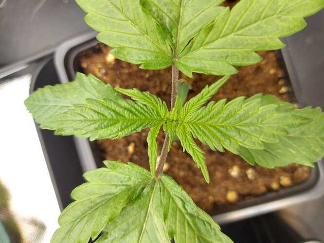 Growreport Bild 14