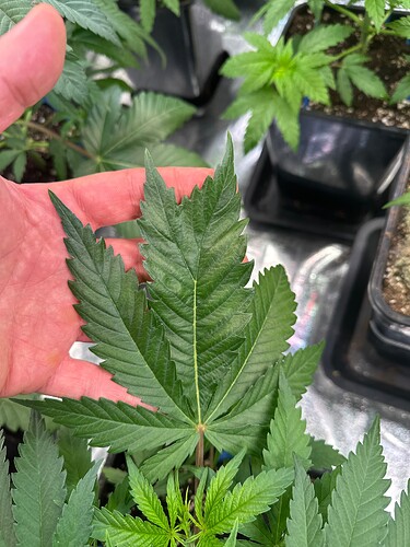 Growreport Bild 21