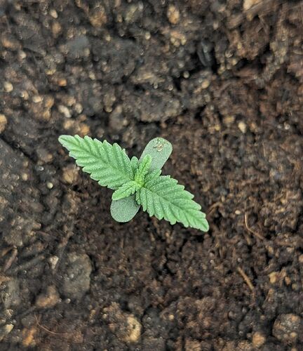 PXL_20260304_175413871~2