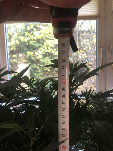 Growreport Bild 7