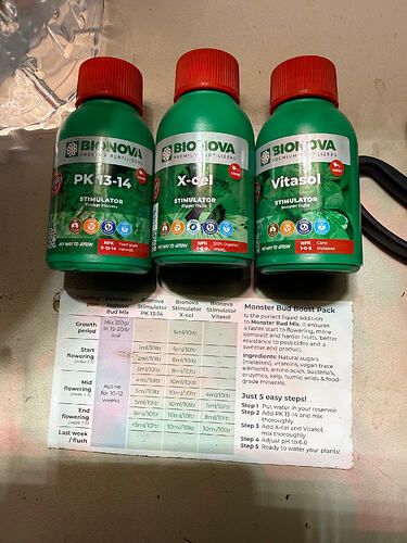 Growreport Bild 66