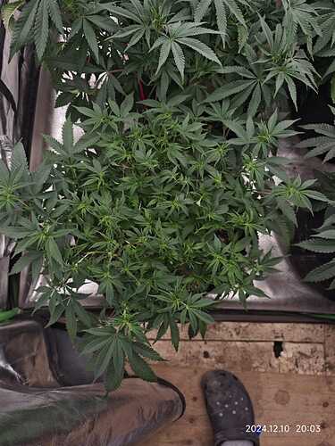 Growreport Bild 6