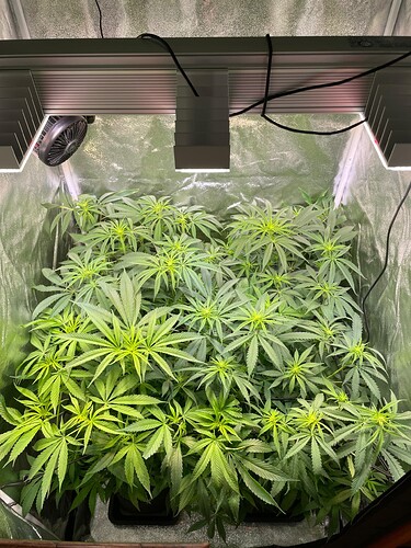 WhatsApp Bild 2024-05-14 um 18.58.06_0bf5b61f