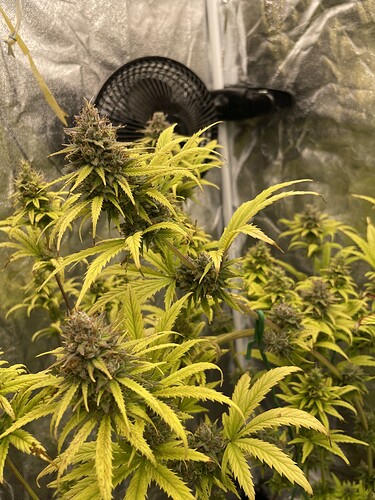 Growreport Bild 10