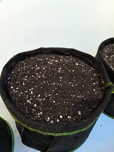 Growreport Bild 33