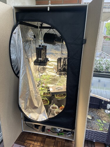 Growreport Bild 3
