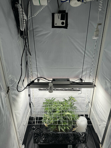 20240513_141913769_iOS