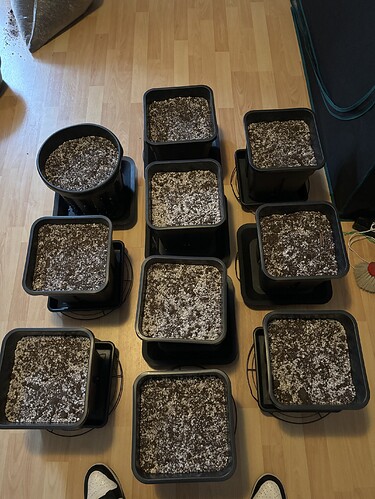 Growreport Bild 11