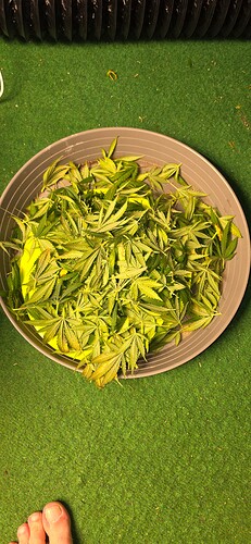 Growreport Bild 58
