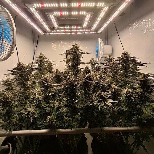 480435578_122168870894293599_4293279095847815241_n