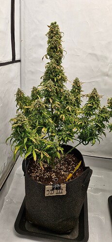 Growreport Bild 24