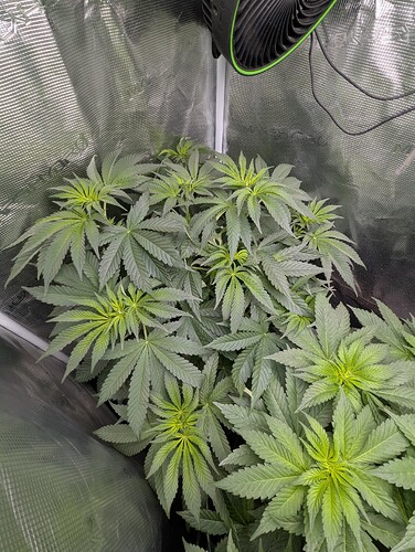 Growreport Bild 3