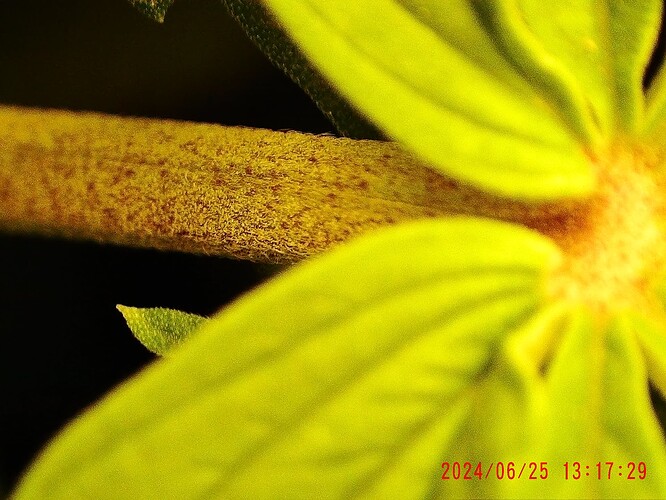 Growreport Bild 15