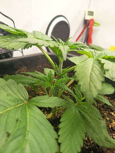 Growreport Bild 4