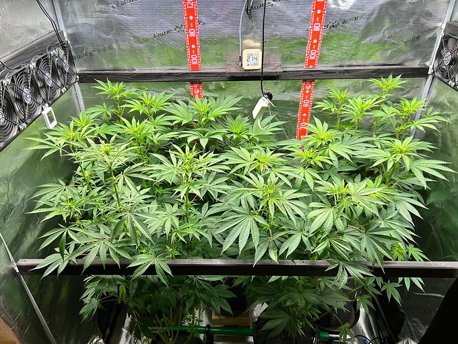Growreport Bild 7