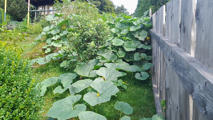 Growreport Bild 25