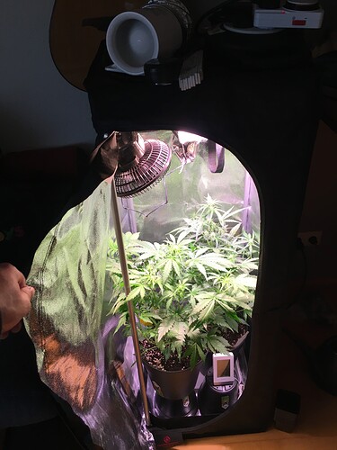 Growreport Bild 3