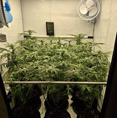 474623919_122164880216293599_2464191333011458308_n