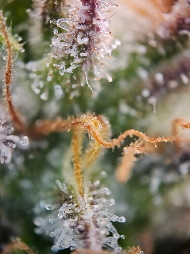 Growreport Bild 9